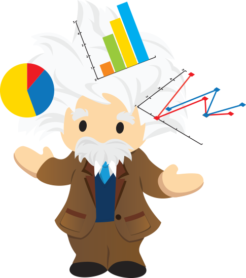 Einstein Section Analytics